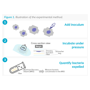 In Vitro testing of Bacterial Trapping a Silicone Foam Wound Dressing