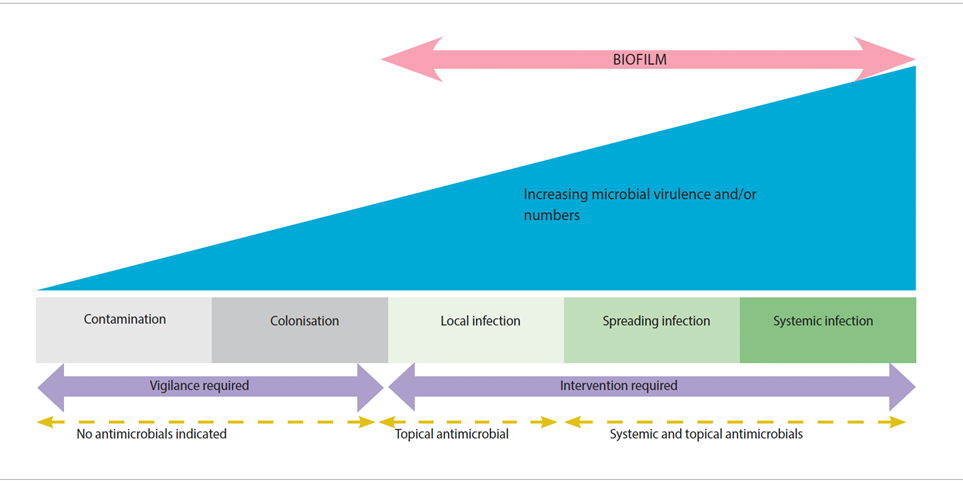 The Wound Infection Continuum