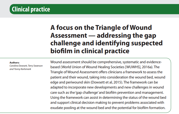 Clinical practice: A focus on the Triangle of Wound Assessment